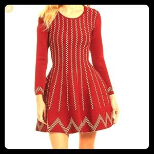 Gianni Bini holiday skater dress